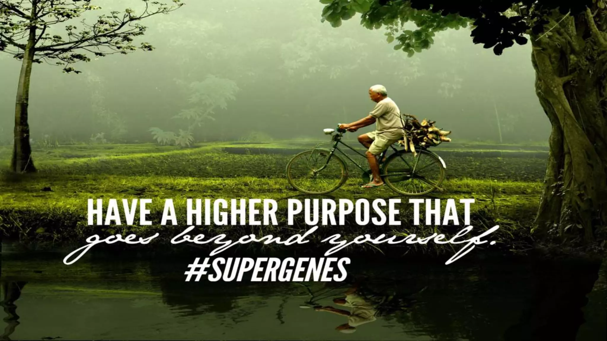 Can Your Genes Make You Happier?