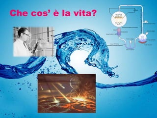 Che cos’ è la vita?
 