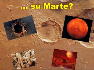 … su Marte?
 