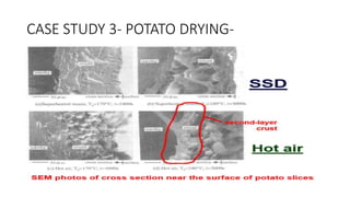 CASE STUDY 3- POTATO DRYING-
 