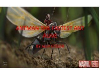 ANTMAN THE FASTEST ANT
ALIVE
BY ALLY ETZLER
 