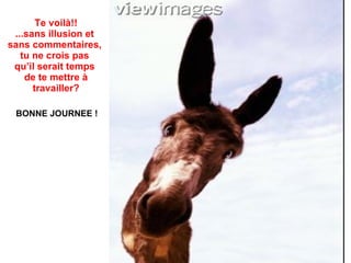 Te voilà!! ...sans illusion et  sans commentaires,  tu ne crois pas  qu’il serait temps  de te mettre à travailler? BONNE JOURNEE ! 