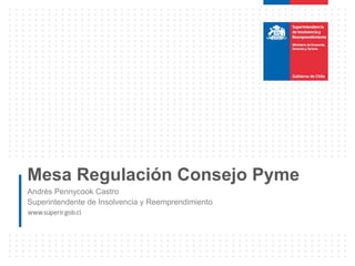 Mesa Regulación Consejo Pyme
Andrés Pennycook Castro
Superintendente de Insolvencia y Reemprendimiento
 