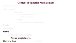 Superior and inferior mediastinum | PPT