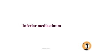 Superior and inferior mediastinum | PPT