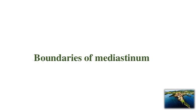 Superior and inferior mediastinum