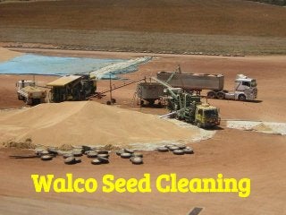 Walco Seed Cleaning
 