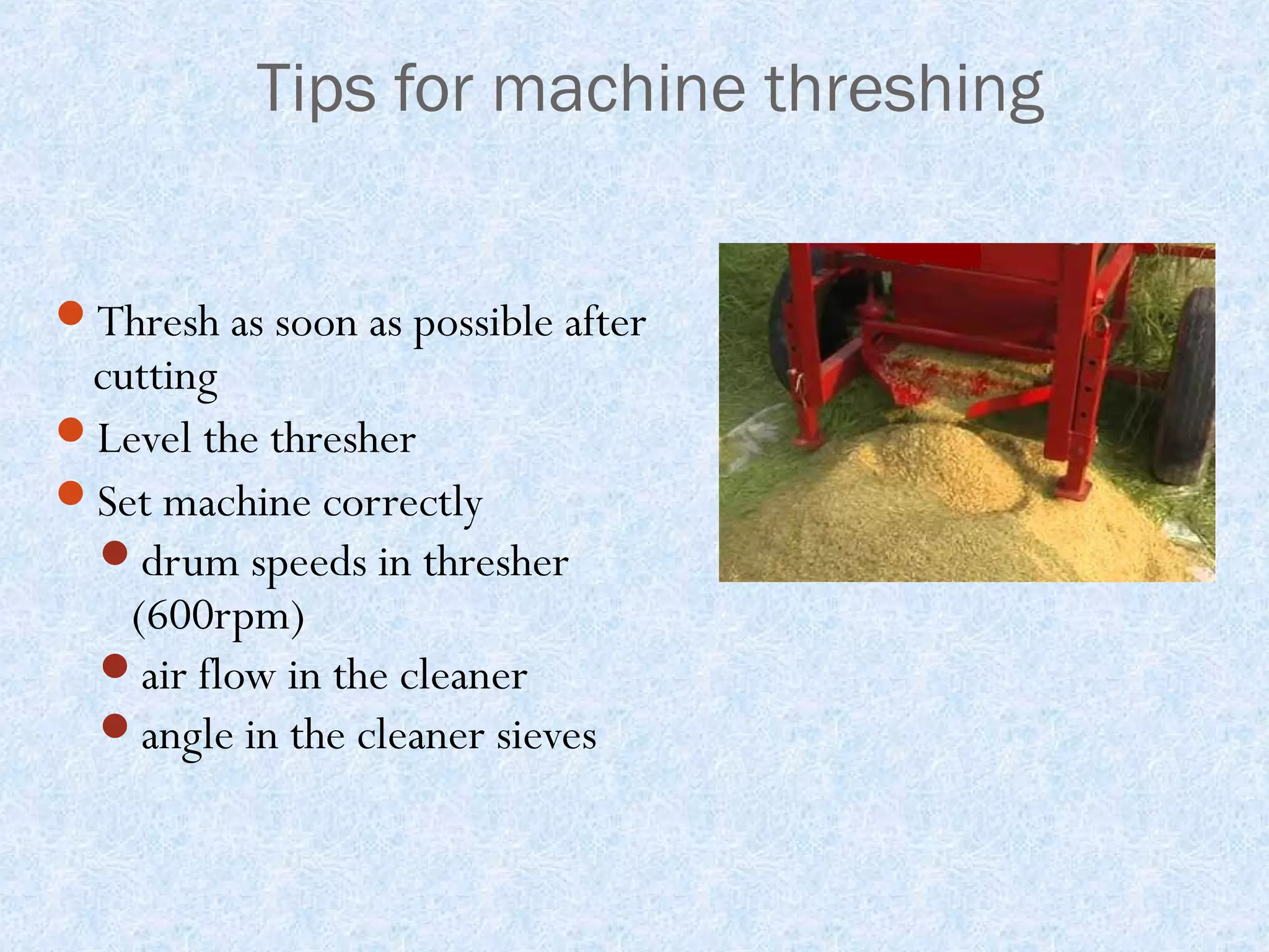 Tips for machine threshing
Thresh as soon as possible after

cutting
Level the thresher
Set machine correctly
drum speeds in thresher
(600rpm)
air flow in the cleaner
angle in the cleaner sieves

 