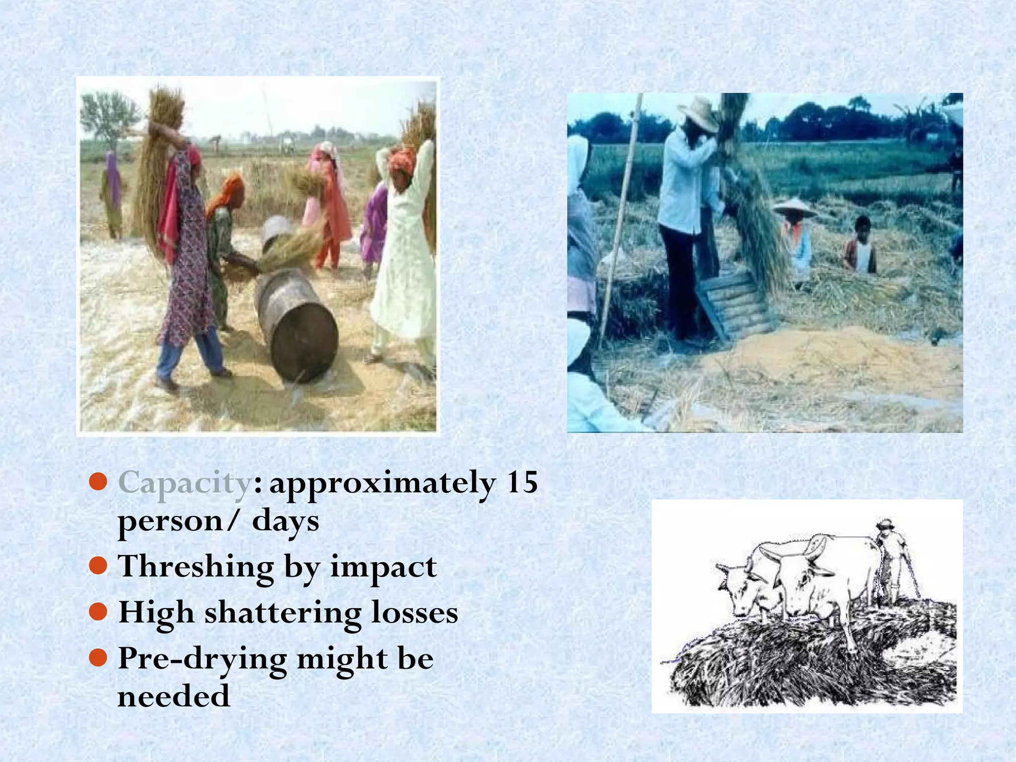 Capacity: approximately 15

person/ days
Threshing by impact
High shattering losses
Pre-drying might be
needed

 