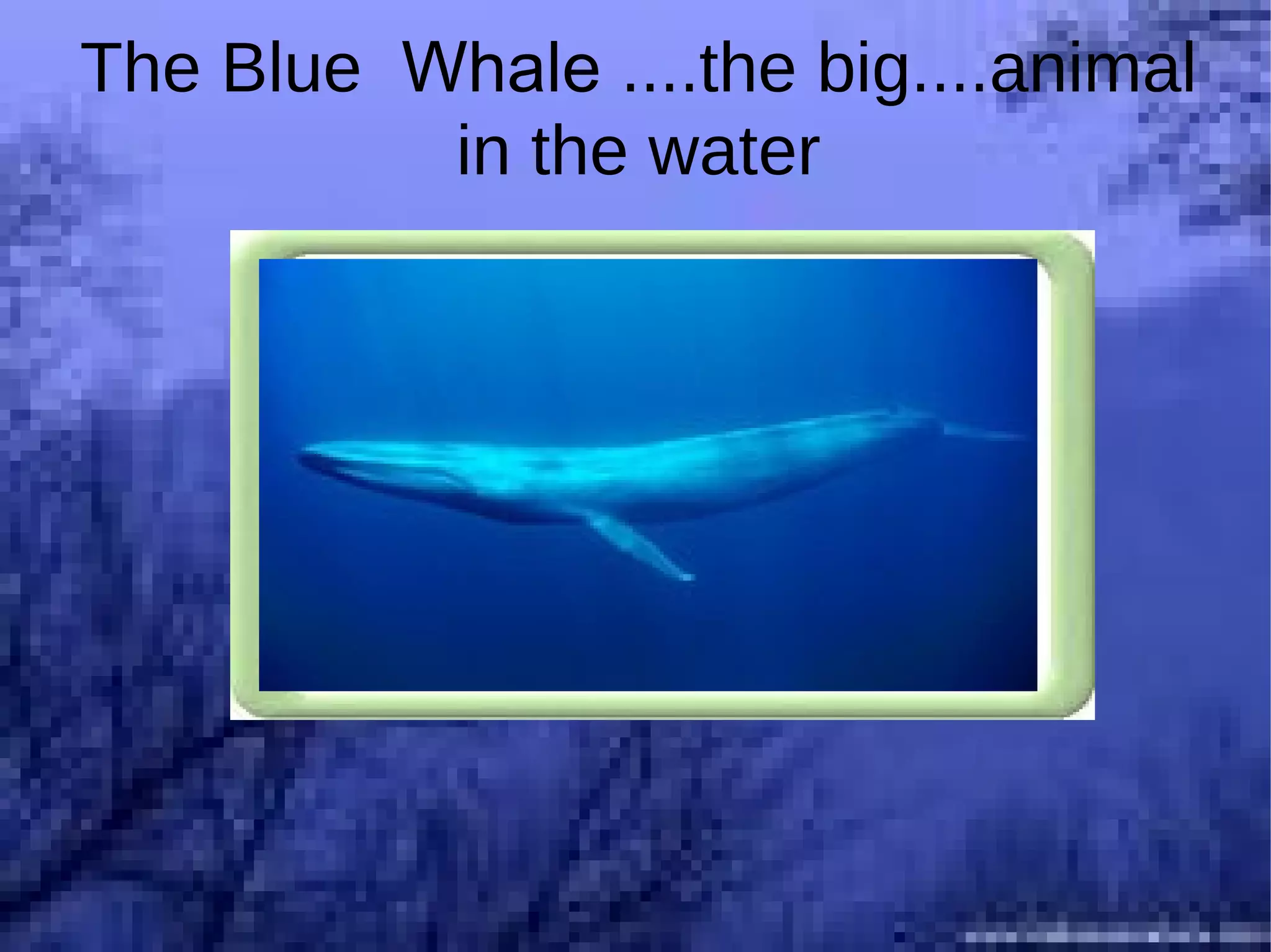 Which is the biggest city in the world? Singapore Beijing London London Please click on and see correct answer 