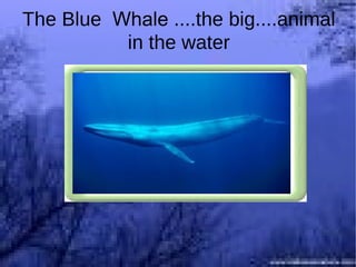 Which is the biggest city in the world? Singapore Beijing London London Please click on and see correct answer 