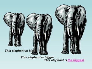 This elephant is big

           This elephant is bigger
                           This elephant is the biggest
 