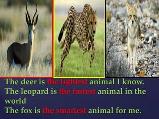 The deer is the lightest animal I know.
The leopard is the fastest animal in the
world
The fox is the smartest animal for me.
 