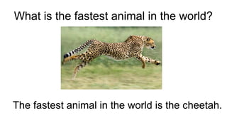 What is the fastest animal in the world?
The fastest animal in the world is the cheetah.
 