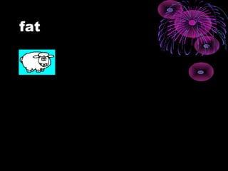 fat
 