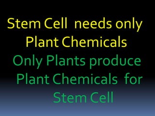 Stem Cell needs only
Plant Chemicals
Only Plants produce
Plant Chemicals for
Stem Cell
 