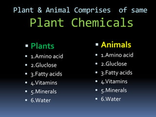 Plant & Animal Comprises of same
Plant Chemicals
 Plants
 1.Amino acid
 2.Gluclose
 3.Fatty acids
 4.Vitamins
 5.Minerals
 6.Water
 Animals
 1.Amino acid
 2.Gluclose
 3.Fatty acids
 4.Vitamins
 5.Minerals
 6.Water
 