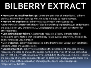 BILBERRY EXTRACT
• Protection against liver damage: Due to the presence of antioxidants, bilberry
protects the liver from damage which may be initiated by restraint stress.
• Prevent Atherosclerosis: Bilberry extracts contain anthocyanosises.
Anthocyanosises improve the flow of blood round the peripheral tissues and prevents
the oxidation of LDL cholesterol. LDL cholesterol is a major causative factor for
atherosclerosis
• Combating kidney failure.According to research, Bilberry extracts helps in
normalizing some factors that trigger kidney failure such as creatinine, nitric oxide,
and serum blood urea nitrogen
• Skin protection: Bilberry has been used in the treatment of various skin conditions
including ulcers and varicose veins.
• Cancer prevention: Bilberry extract retards the development of cancer cells.A
research conducted to analyze the cancer-fighting properties of various berries has
proven that bilberry is the most powerful in inhibiting of cancerous cells.This is due to
the presence of phenolic components such as delphinidin and glycosides.These two
phenols prevent the propagation of malignant cells and induces apoptosis
(progressive cell death).
 
