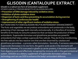GLISODIN (CANTALOUPE EXTRACT)
Glisodin is a radical new form of antioxidant supplement.
OTHER CLINICALLY PROVEN BENEFITSOF GILSODIN INCLUDE:
• Prevention of DNA damage induced by oxidative stress
• Inhibition of photo-oxidative stress
• Dispersion of lactic acid thus preventing its accumulation during exercise
• Strengthening of cardiovascular health
• Improvement of other significant markers of oxidative stress.
BUT HOW EXACTLY DOESGLISODIN HELP INANTIOXIDANT ENHANCEMENT?
The fruits and vegetables we eat produce antioxidants and carotenoids in the body,
protecting it from damage both internally and externally. It is therefore of immense
benefits to the body to consume substances that can boost the production of these
antioxidants. Superoxide dismutase and glutathione peroxidase are powerful
antioxidants that helps combat superoxide free radicals.They do this by transforming
the free radicals into less reactive ions that are then disarmed by catalase and
glutathione peroxidase – a process called dismutation. Normally, if someone consumes
Superoxide dismutase in its raw form, the gastric acids (acids in the stomach) will
destroy it. However, if it is encased in gliadin (a carrier protein), it becomes protected
from digestive acids and effectively recognized by immune cells in the gastrointestinal
system. GliSODin as a dietary supplement of Superoxide dismutase utilizes this
technology and can use SOD to enhance the body’s antioxidant defences.
 