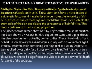 PHYTOCELLTEC MALUS DOMESTICA (UTTWILER SPATLAUBER)
Briefly, the Phytocelltec Malus Domestica (Uttwiler Spatlauber) is a liposomal
preparation of apple stem cells.These stem cells have a rich content of
epigenetic factors and metabolites that ensures the longevity of skin
cells. Research shows that PhytocellTec Malus Domestica protects the
stem cells of the skin and delays the senescence of hair follicles.This
lends credence to its anti-aging properties.
The protection of human stem cells by PhytocellTec Malus Domestica
has been shown by various in-vitro experiments. Its anti-aging effects
has also been demonstrated by some studies.The anti-wrinkle effects
of Malus Domestica was evaluated in a study with 20 volunteers aged
37 to 64. An emulasion containing 2% PhytocellTec Malus Domestica
was applied twice daily for 28 days to crow’s feet.Wrinkle depth was
determined by means of Phase-shifting rapid in vibo measurement of
skin. Results showed a significant and visible decrease in wrinkle depth
for 100% of the subjects.
 