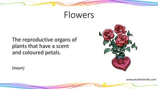 Flowers
The reproductive organs of
plants that have a scent
and coloured petals.
(noun)
www.excellentesl4u.com
 