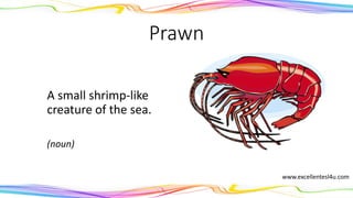 Prawn
A small shrimp-like
creature of the sea.
(noun)
www.excellentesl4u.com
 