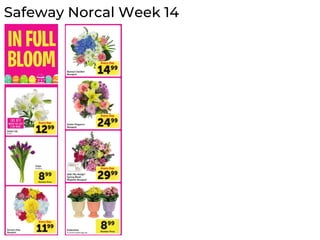 Safeway Norcal Week 14
 