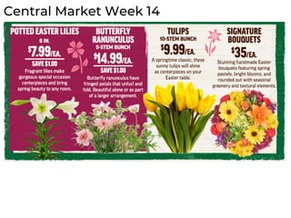Central Market Week 14
 