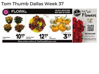 Tom Thumb Dallas Week 37
 