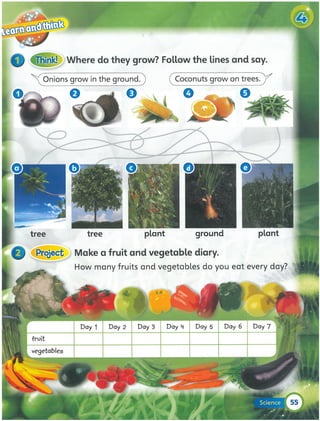 Super minds 1_teacher_s_book