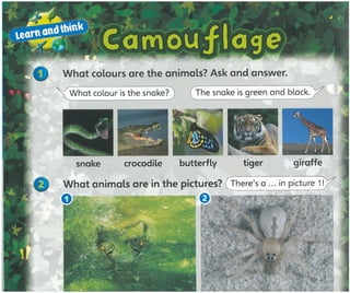 Super minds 1_teacher_s_book