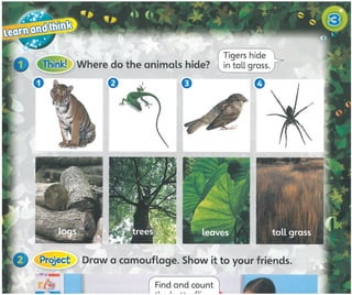 Super minds 1_teacher_s_book