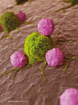 22 AMÉRICAECONOMÍA | SEPTIEMBRE, 2014 
Unidos contra 
el mal: glóbulos 
blancos atacan 
una célula 
cancerígena. 
Al rescate, los 
monoclonales. 
PORTADA | salud 
 