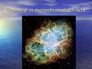 Krabnevel in monochromatisch licht 