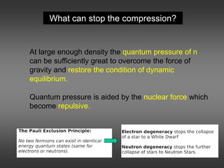 What can stop the compression?
At large enough density the quantum pressure of n
can be sufficiently great to overcome the force of
gravity and restore the condition of dynamic
equilibrium.
Quantum pressure is aided by the nuclear force which
become repulsive.
 