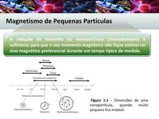 A redução de tamanho da nanopartícula (monodomínio) é
suficiente para que o seu momento magnético não fique estável no
eixo magnético preferencial durante um tempo típico de medida.
Figura 1.1 - Dimensões de uma
nanopartícula, quando muito
pequena fica instável.
Magnetismo de Pequenas Partículas
 