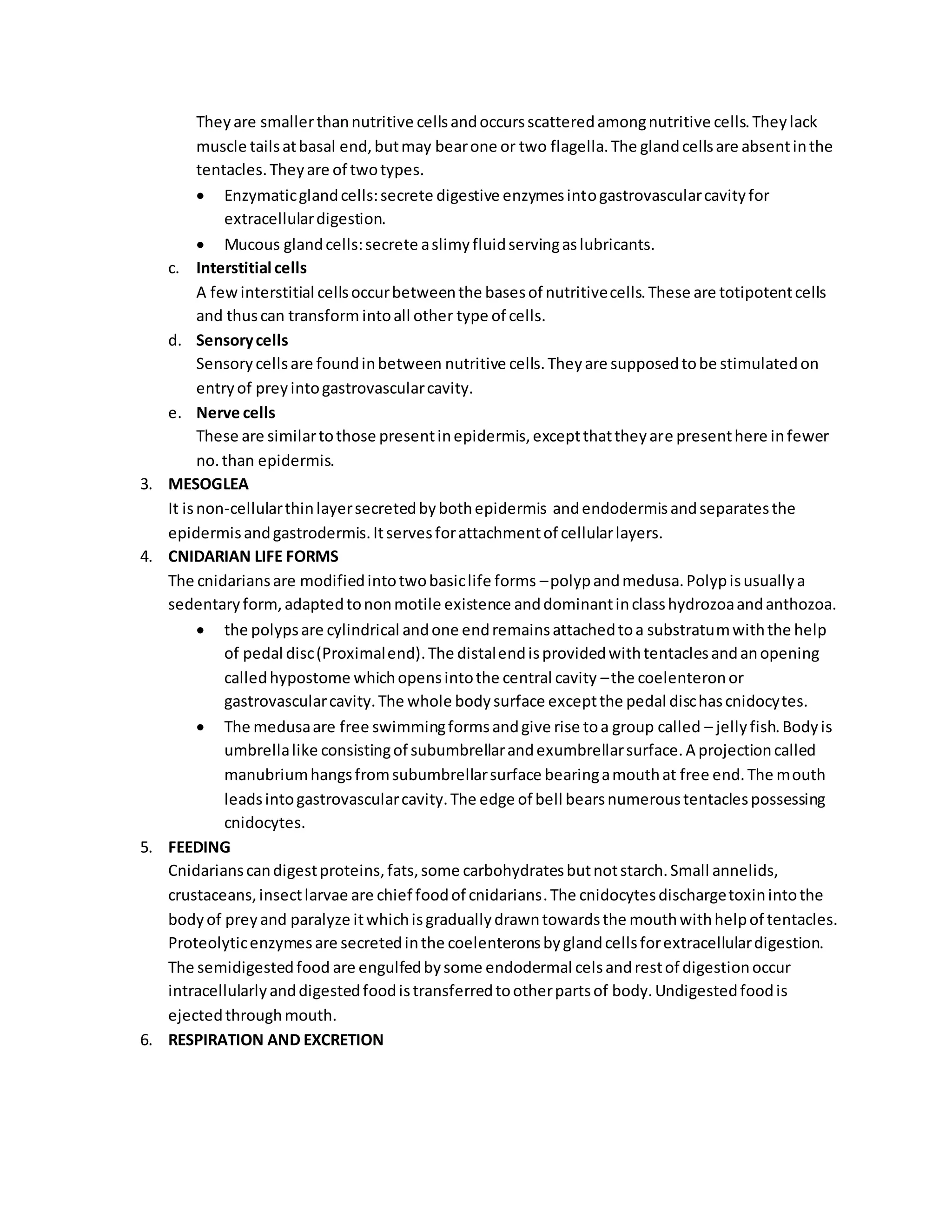 Superphylum radiata | PDF