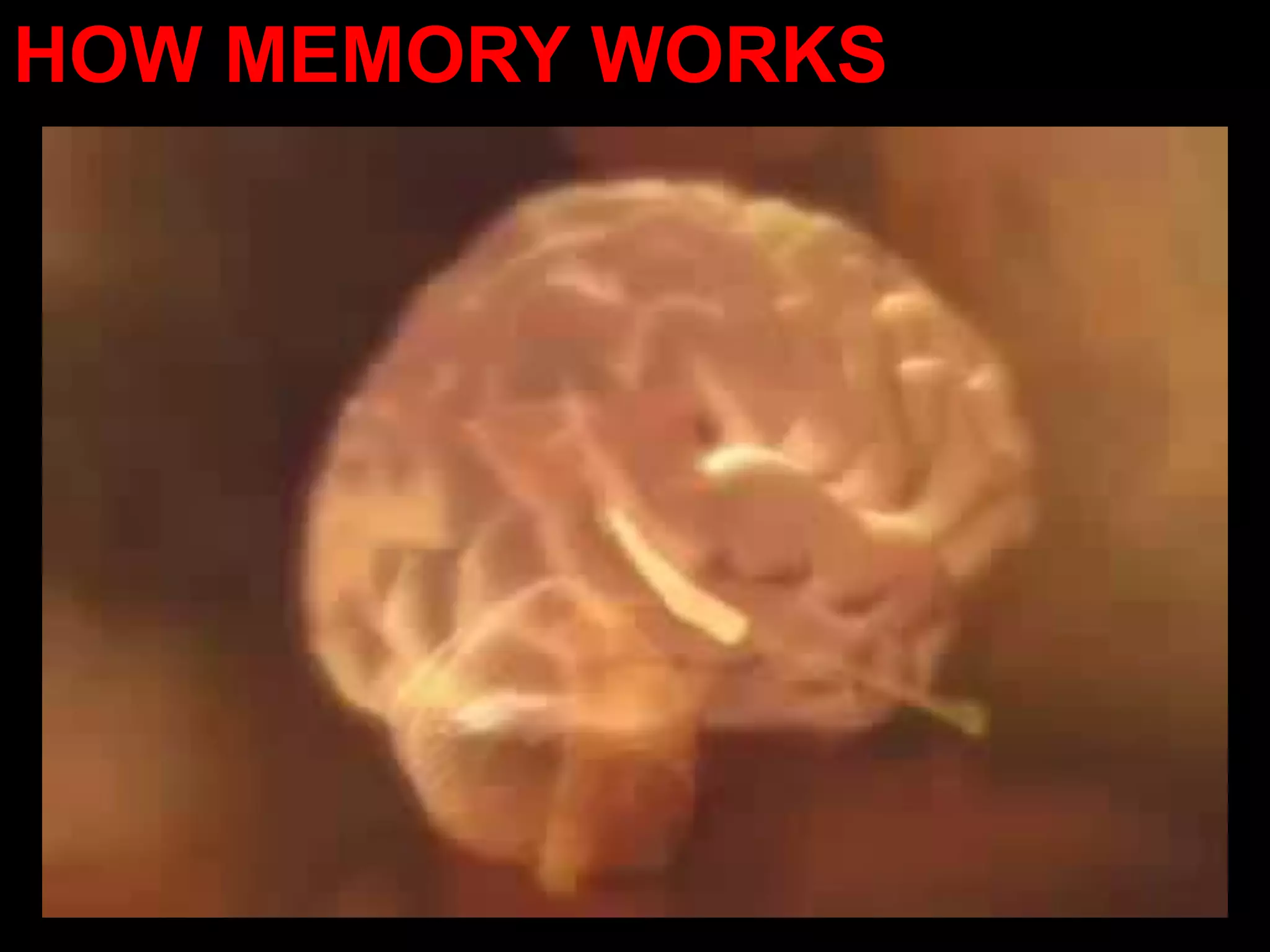HOW MEMORY WORKS
 