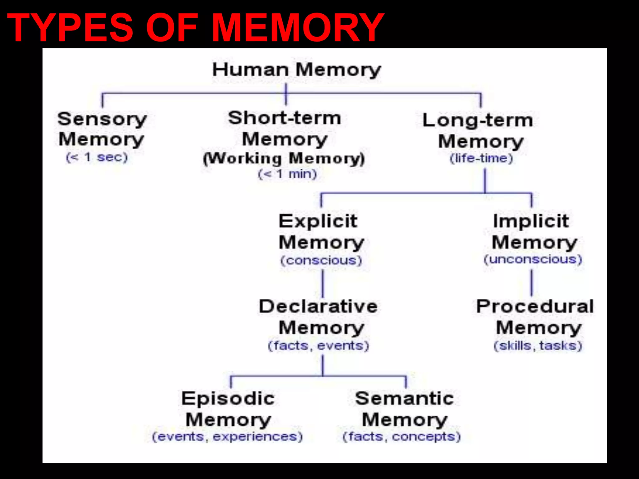 TYPES OF MEMORY
 