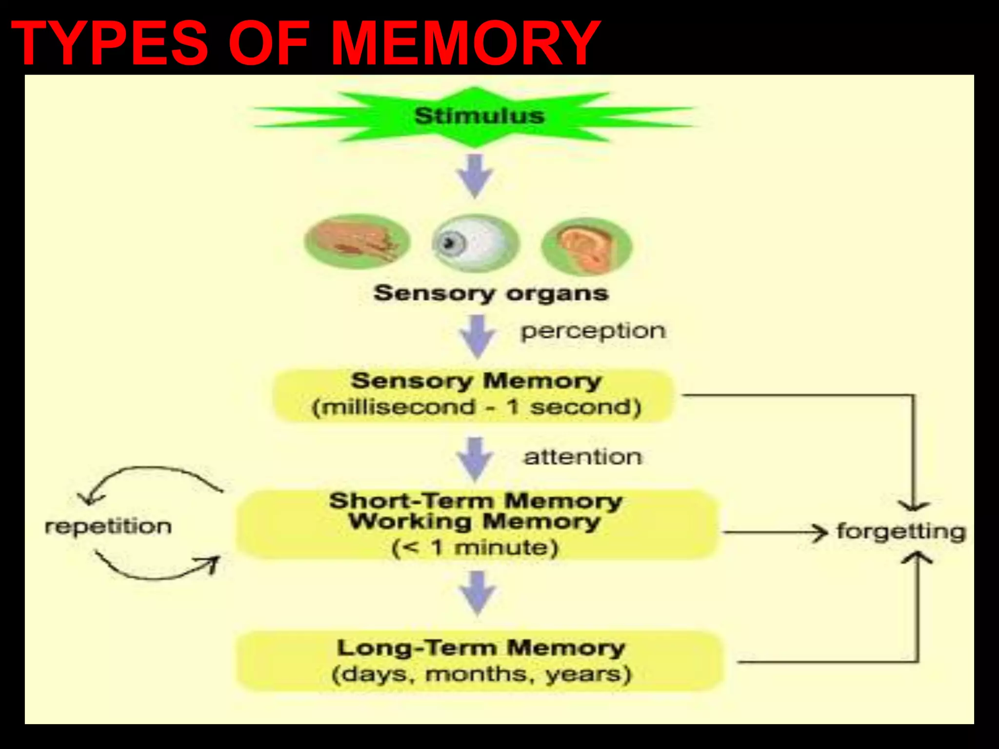 TYPES OF MEMORY
 
