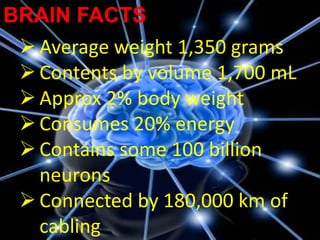 BRAIN FACTS
  Average weight 1,350 grams
  Contents by volume 1,700 mL
  Approx 2% body weight
  Consumes 20% energy
  Contains some 100 billion
   neurons
  Connected by 180,000 km of
   cabling
 