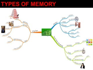 TYPES OF MEMORY
 