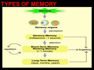 TYPES OF MEMORY
 