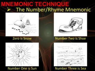 MNEMONIC TECHNIQUE
  The Number/Rhyme Mnemonic



    Zero is Snow      Number Two is Shoe




  Number One is Sun   Number Three is Sea
 
