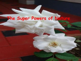 The Super Powers of Nature
 