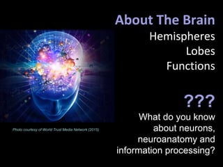 About The Brain
Hemispheres
Lobes
Functions
Photo courtesy of World Trust Media Network (2015)
???
What do you know
about neurons,
neuroanatomy and
information processing?
 