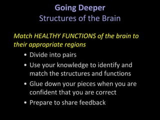 Going Deeper
Structures of the Brain
Match HEALTHY FUNCTIONS of the brain to
their appropriate regions
• Divide into pairs
• Use your knowledge to identify and
match the structures and functions
• Glue down your pieces when you are
confident that you are correct
• Prepare to share feedback
 