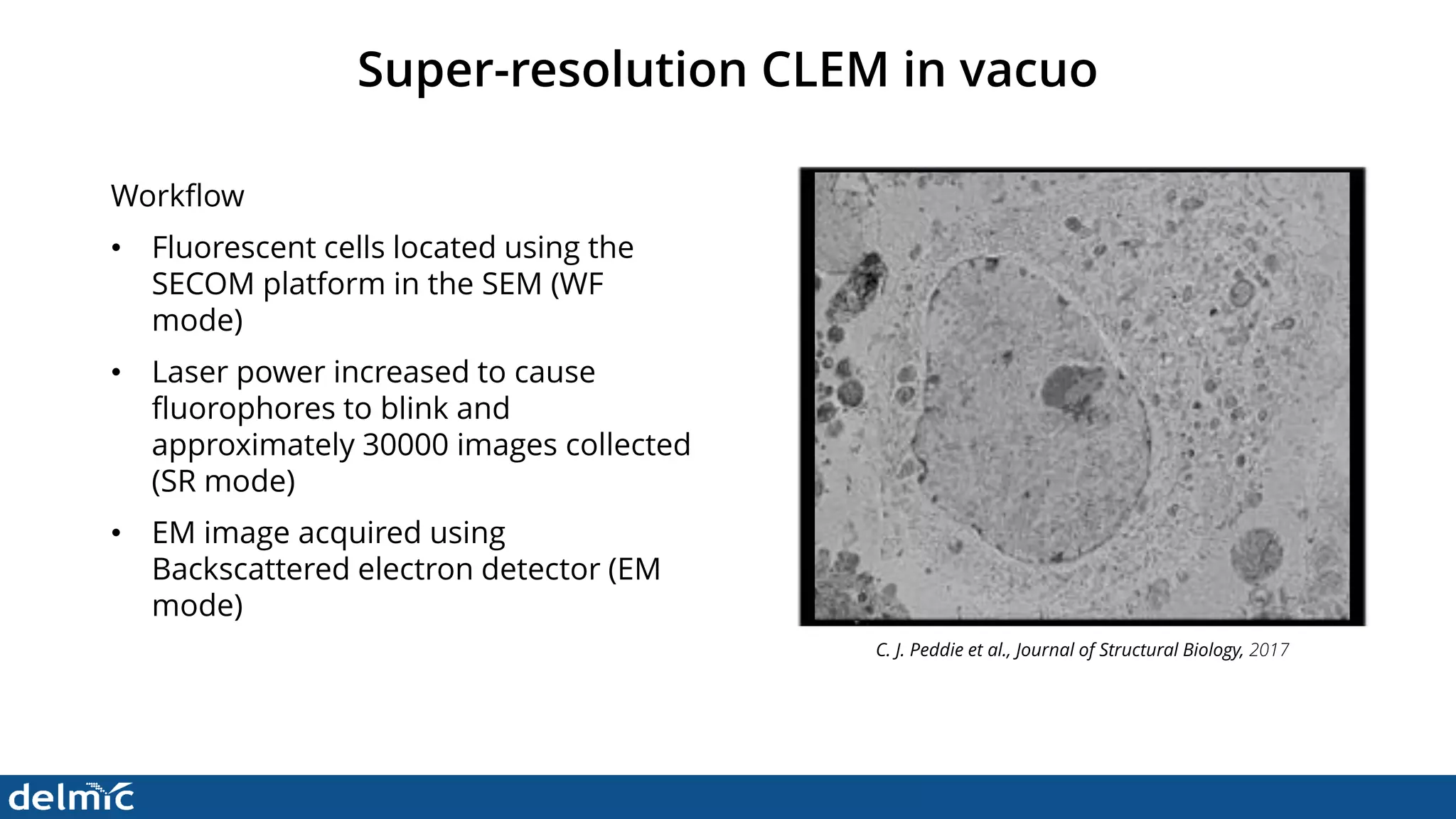 Superresolution Correlative Light and Electron Microscopy - DELMIC | PDF