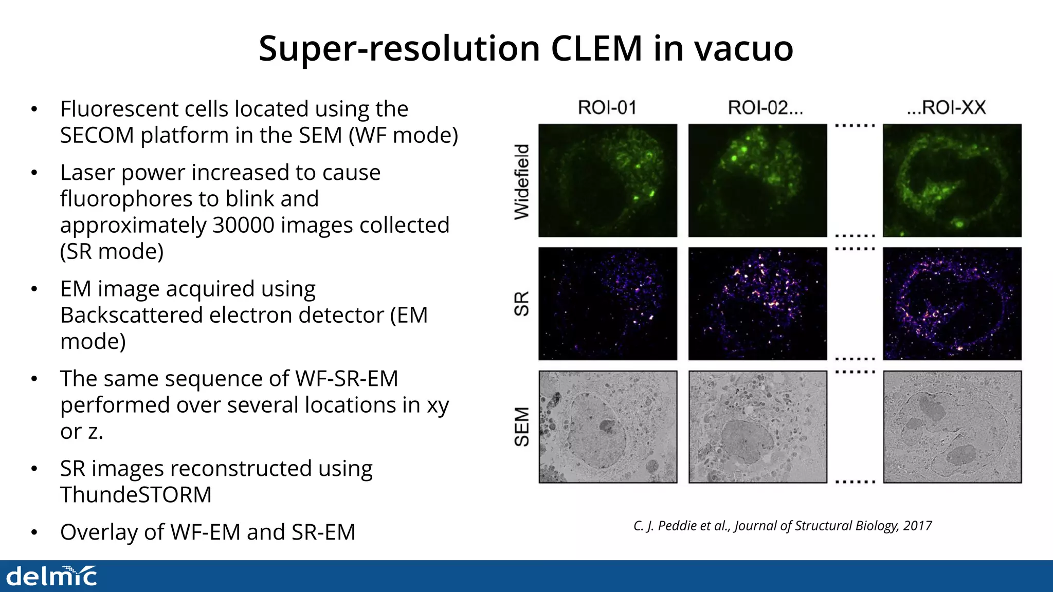 Superresolution Correlative Light and Electron Microscopy - DELMIC | PDF
