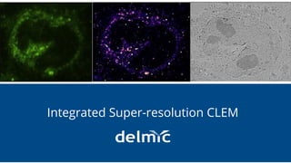 Integration without compromise
Integrated Super-resolution CLEM
 
